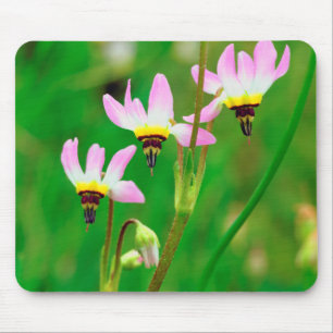 Shooting Star Wildflowers in Mission Trails Park Mouse Pad