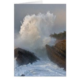 Shore Acres State Park, Charleston, Oregon