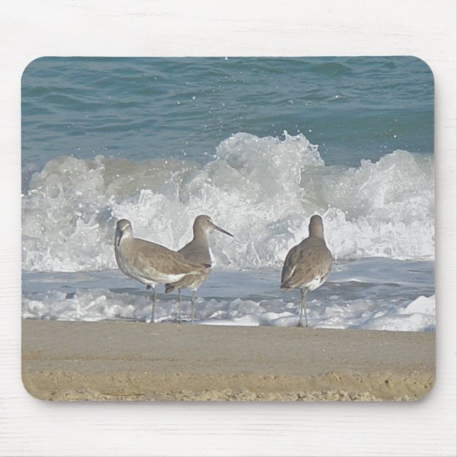 Shore Bird Trio Mousepad (Front)