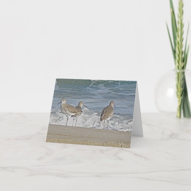 Shore Bird Trio Note Card (Front)