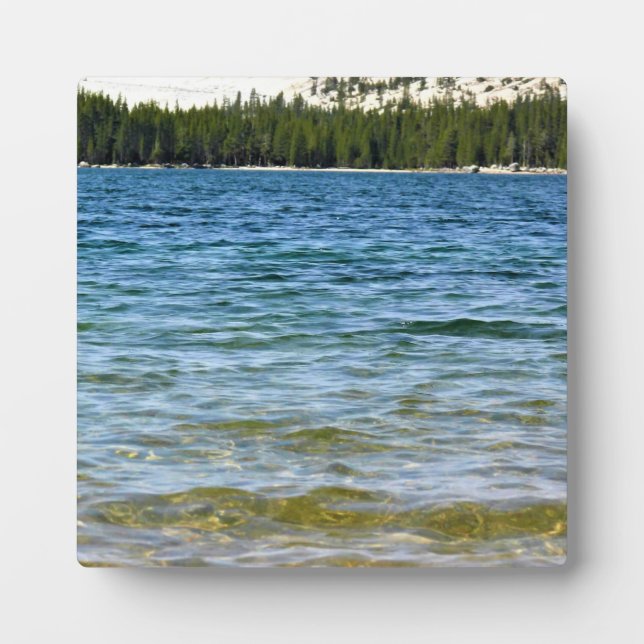 Shore of Tenaya Lake, Yosemite, CA Plaque (Front)