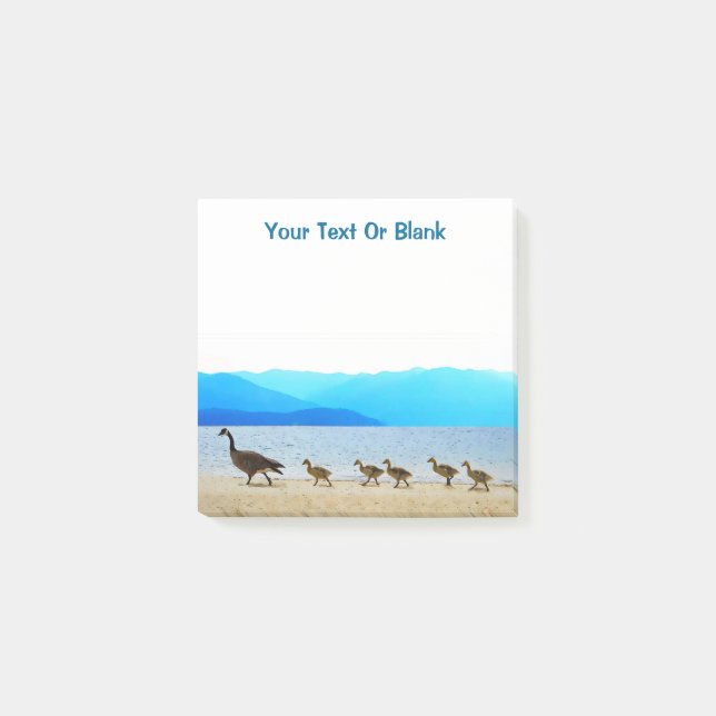 Shore Patrol - Canada Geese Post-it Notes (Front)