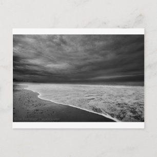 Shore Postcard