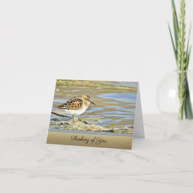 Shorebird - Blank Thinking of You Card (Front)