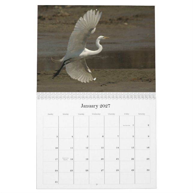 Shorebirds - 2010 calendar (Jan 2027)