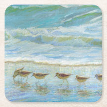 Shorebirds, A Day at the Beach