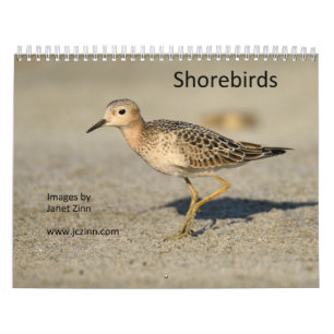 Shorebirds Calendar