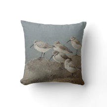 Shorebirds / Sanderlings Stunning Throw Pillow