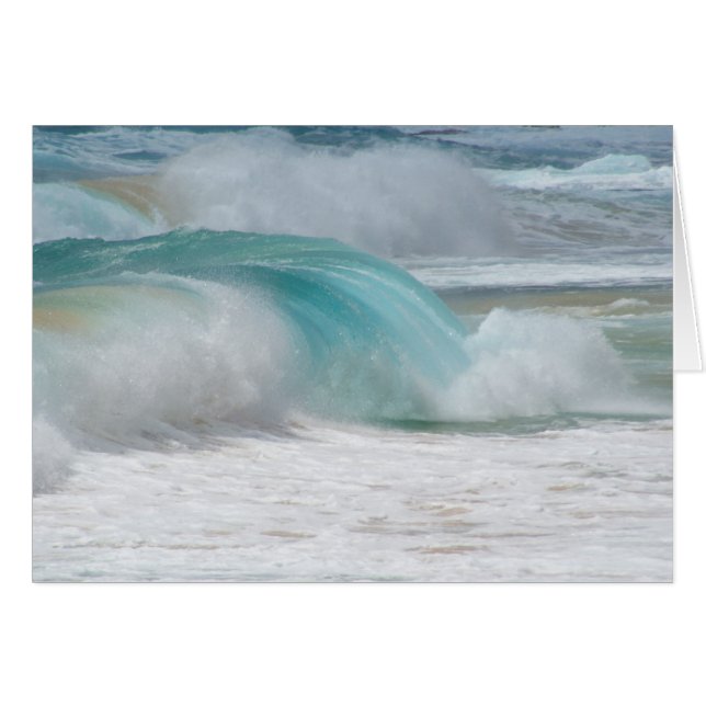 Shorebreak (Front Horizontal)