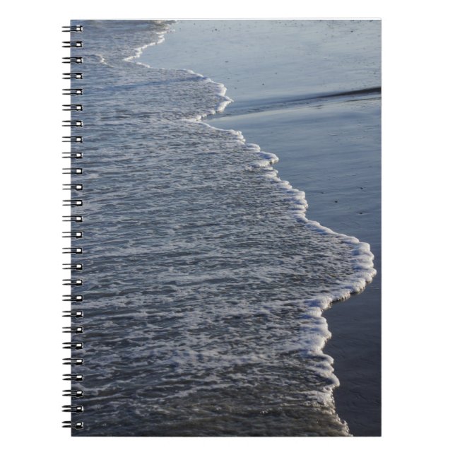 Shoreline Beauty Spiral Notebook (Front)