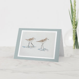 Shoreline Birds Illustration Card with Grey Green
