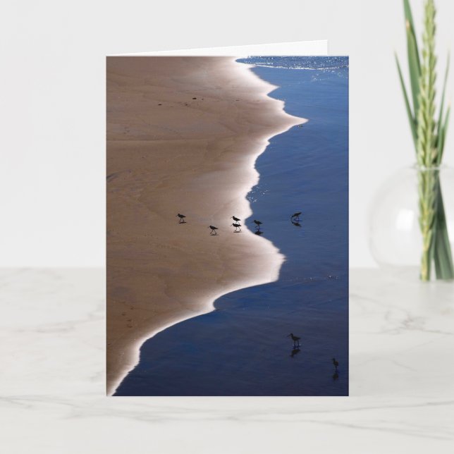 Shoreline Card (Front)