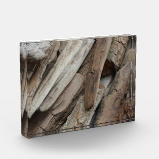 Shoreline Driftwood Photo Block