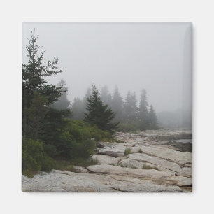shoreline magnet