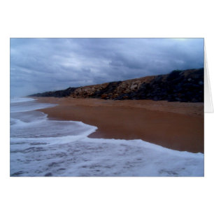 Shoreline of Flagler Beach
