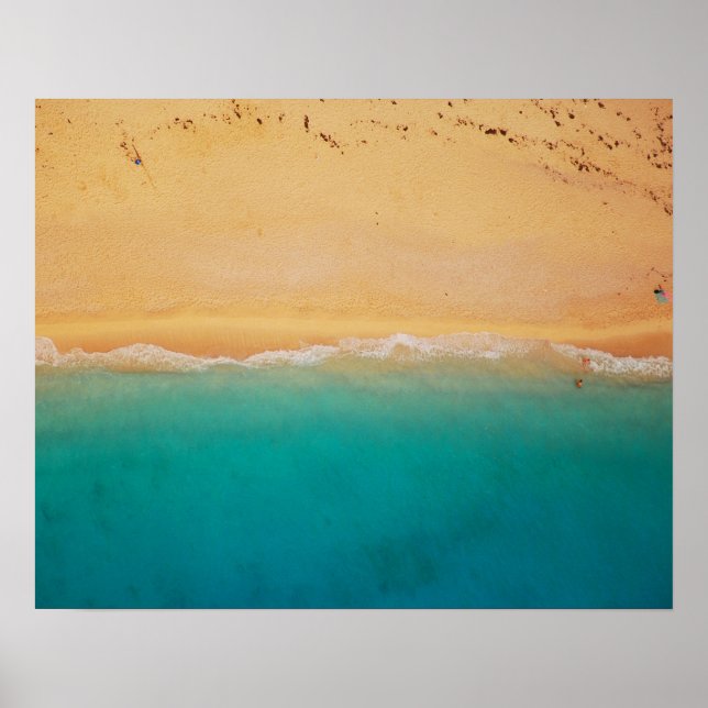 Shoreline Poster (Front)