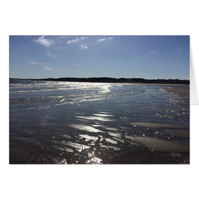 Shorelines of Pine Point Scarborough Maine (Front Horizontal)