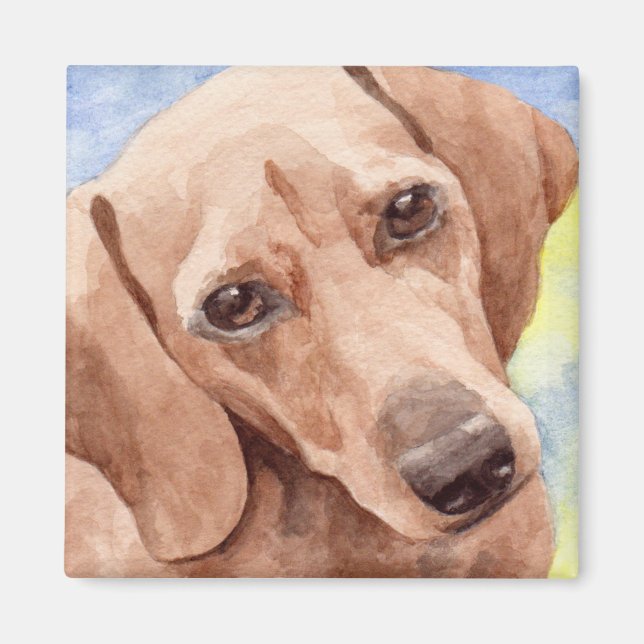 Short Coat Dachshund Dog Portrait Magnet (Front)