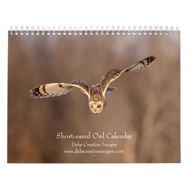 Short-eared Owl 2026 Calendar (Cover)
