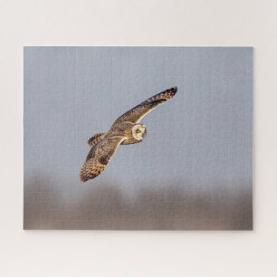 Short-eared owl at the Shawangunk Grasslands Jigsaw Puzzle