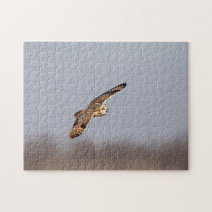 Short-eared owl at the Shawangunk Grasslands Jigsaw Puzzle