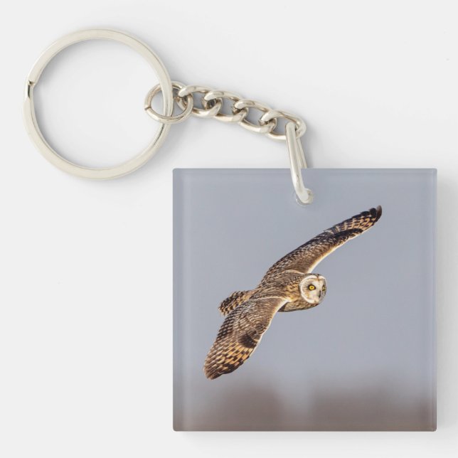 Short-eared owl at the Shawangunk Grasslands Key Ring (Front)