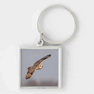 Short-eared owl at the Shawangunk Grasslands Key Ring