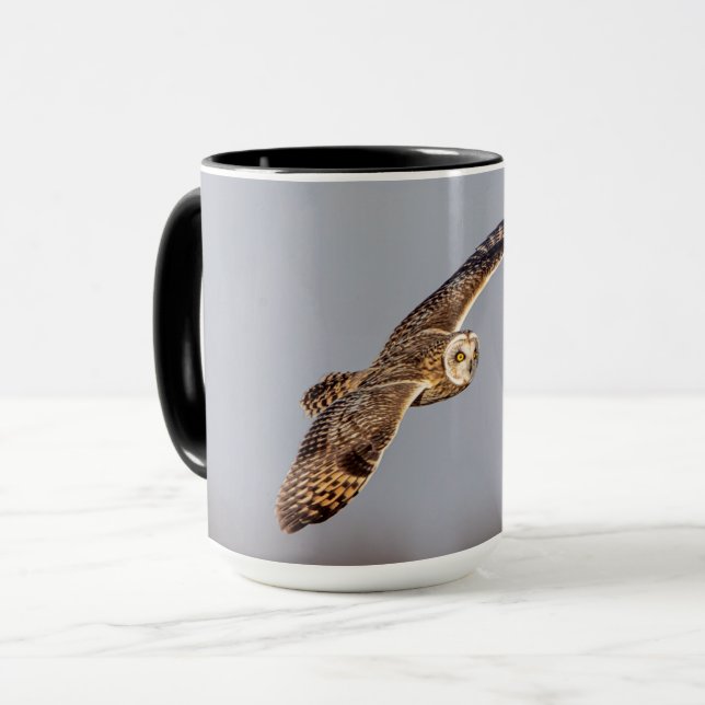 Short-eared owl at the Shawangunk Grasslands Mug (Front Left)