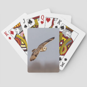 Short-eared owl at the Shawangunk Grasslands Playing Cards