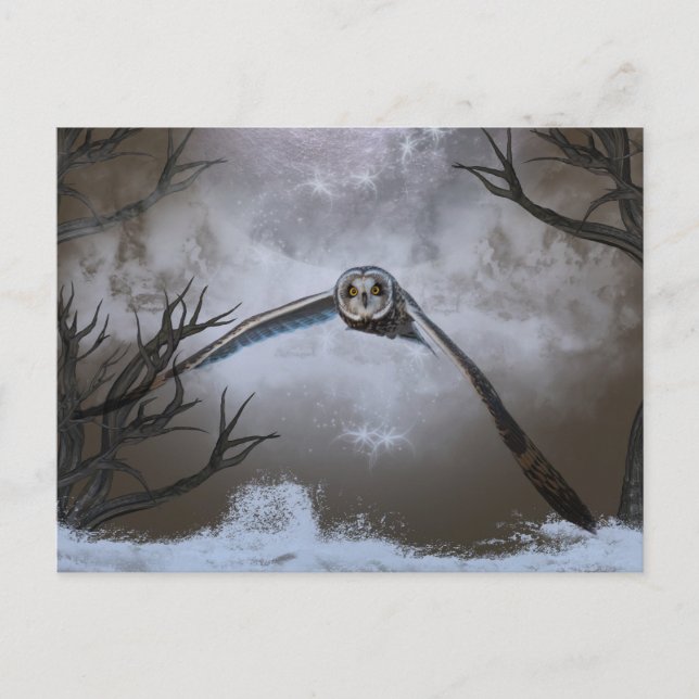 Short-eared owl at the Shawangunk Grasslands Postcard (Front)