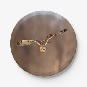 Short-eared owl diving towards the ground paper plate