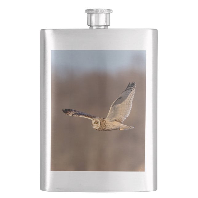 Short-eared owl in flight hip flask (Front)