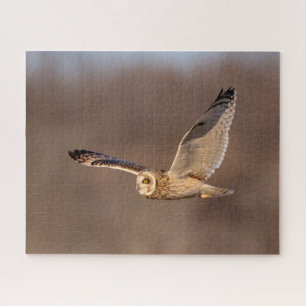 Short-eared owl in flight jigsaw puzzle