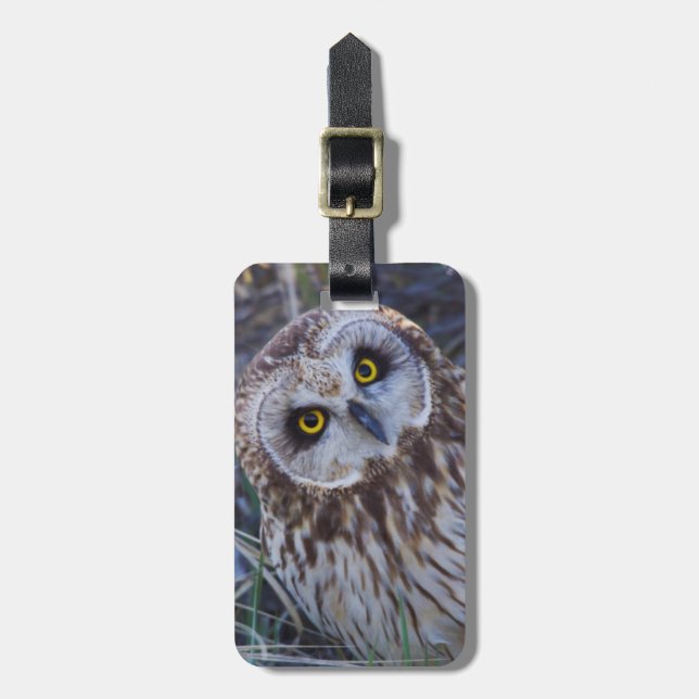 Short-eared Owl Luggage Tag (Front Vertical)