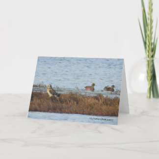 Short-eared Owl with Wigeon Thank You Card
