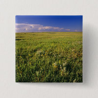 Short Grass Prairie in remote northeastern