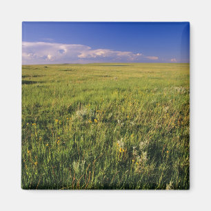Short Grass Prairie in remote northeastern Magnet