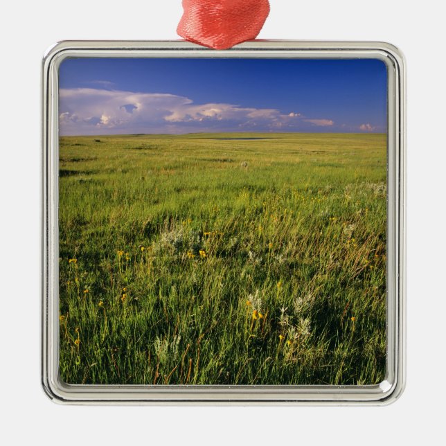 Short Grass Prairie in remote northeastern Metal Tree Decoration (Front)