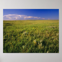 Short Grass Prairie in remote northeastern