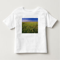 Short Grass Prairie in remote northeastern