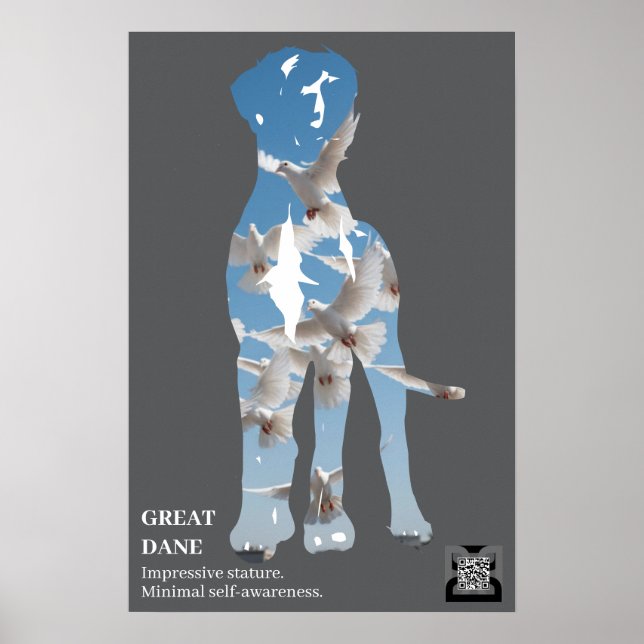 Short Great Dane Poster (Front)