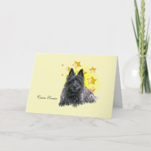 Short Haired Cairn Terrier is a Star Card