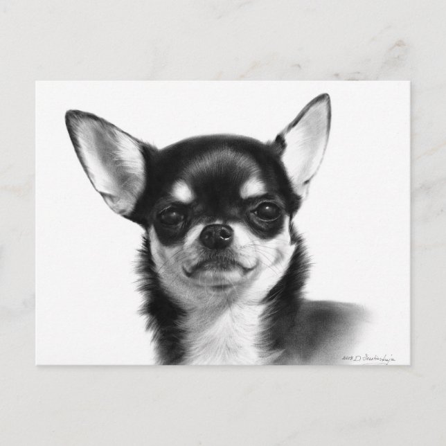 Short-Haired Chihuahua Hand Painted Artwork Postcard (Front)