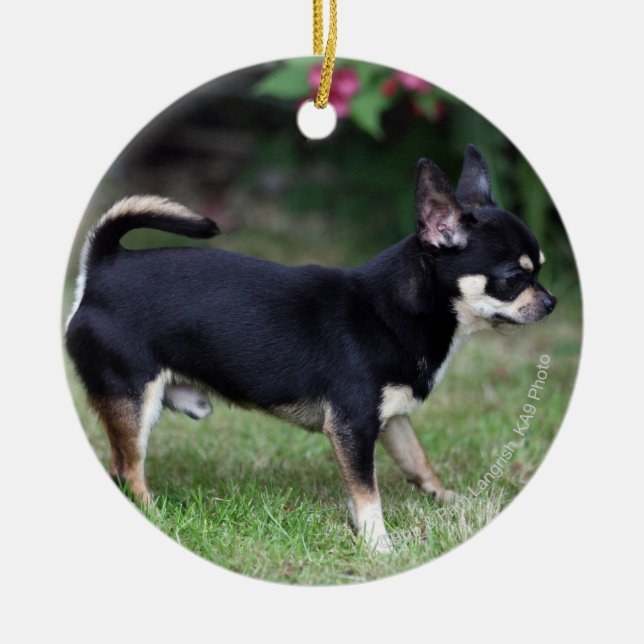 Short Haired Chihuahua Standing Ceramic Tree Decoration (Front)