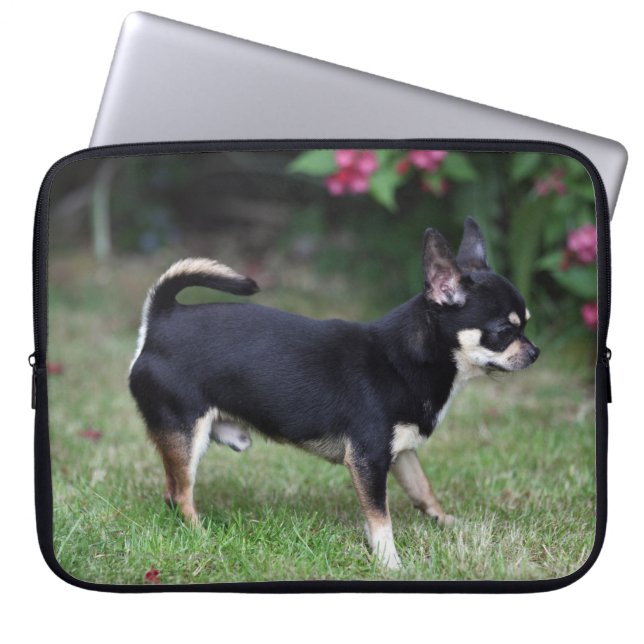 Short Haired Chihuahua Standing Laptop Sleeve (Front)