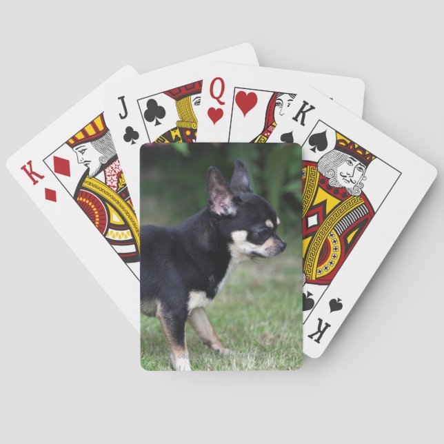 Short Haired Chihuahua Standing Playing Cards (Back)