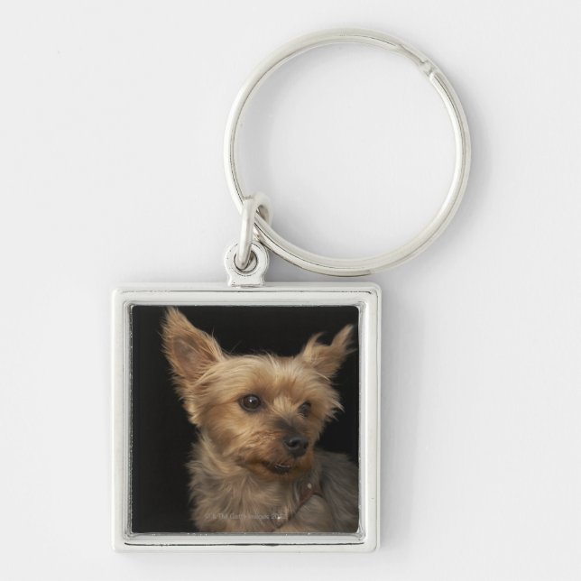 Short haired Yorkie dog looking to the right Key Ring (Front)