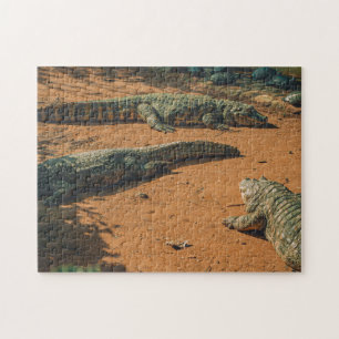 Short Nosed Crocodiles Sunbathing Near Turtles Jigsaw Puzzle
