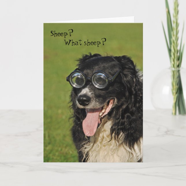 Short-sighted Border Collie Card (Front)
