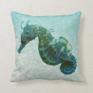 Short-Snouted Seahorse Crimea, Russia Cushion